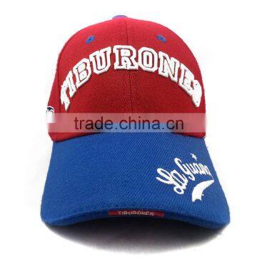 European and American Baseball Cap Promotion Trendy Autumn Wool All-match Baseball Cap Hip-hop Star Fashion Advertising Elastic photo-2