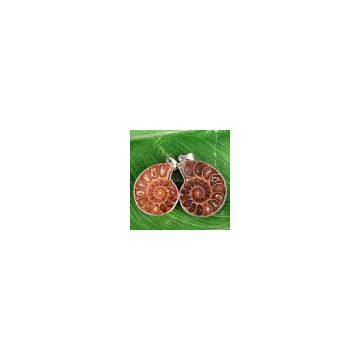 Ammonite Fossil Earrings