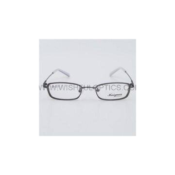 Titanium Frames 6039