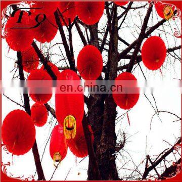 hanging lucky lantern of Chinese new year favor