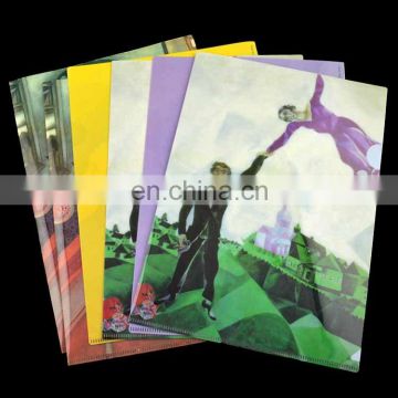 Shenzhen custom design a4 size plastic file folder