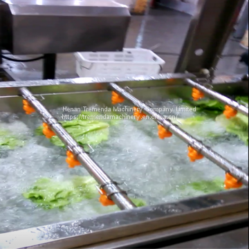 Vegetable Bubble Washing Machine Fruit Washing Machine photo-2