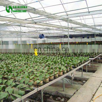 2017 Factory Agriculture Seedbed Greenhouse Used For Sale photo-4