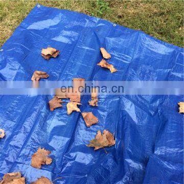 Tarpaulin with eyelet or d ring