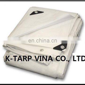 WHITE HEAVY DUTY TARPAULIN, PE CANVAS, KOREA STANDARD