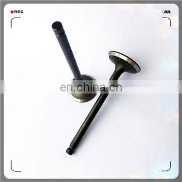 Oem 4A13-1007011 4A13-1007017 Engine Valve for 4A15 photo-3