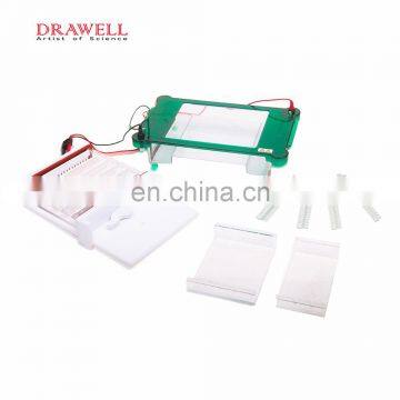 SPGT Universal Horizontal Electrophoresis System photo-2