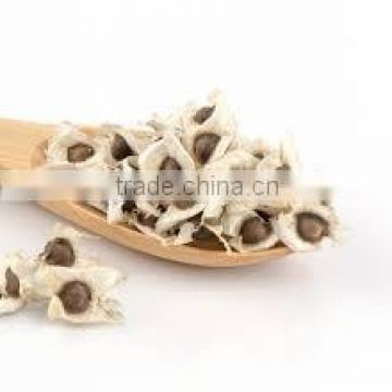 Premium Moringa seeds for export