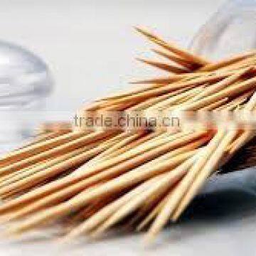 High quality Ceylon Cinnamon Tooth Picks