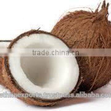 Coconut From 500gms to 600gm photo-4