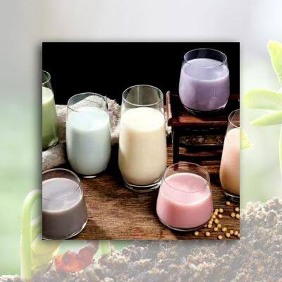 Flavored Soymilk Powder photo-3