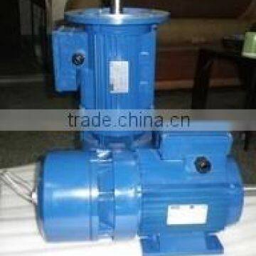 15KW Electromagnetic YEJ Squirrel Cage Induction Motor