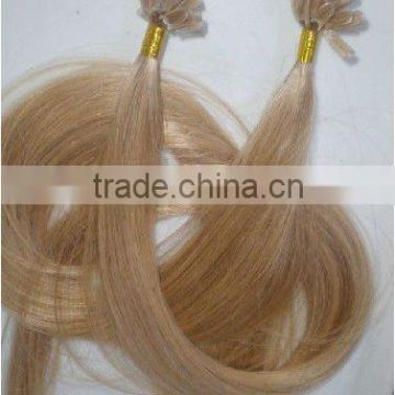 Best Quality U Tip Prebonded Human Hair Extension