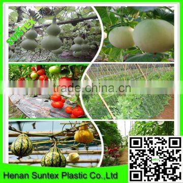 SUPER TRELLIS All New Garden Plant Support Scrog Ponics Pond Safety Grid Netting