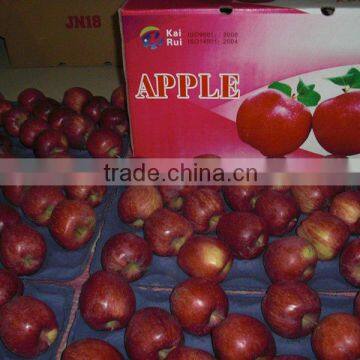 fresh apple of fruit vegetable