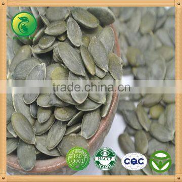 Pumpkin Seeds grown without shell indonesia