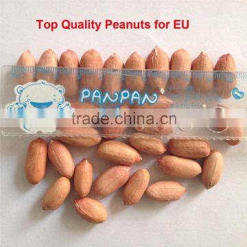 peanut kernels ( tradition type luhua 17) 24/28