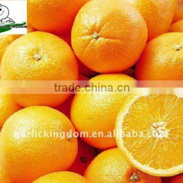 Navel Orange