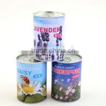 Thyme tin plants, Cans flower,Mini plants,Decorative plants