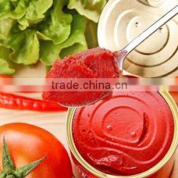 canned tomato paste ,tinned tomato paste factory