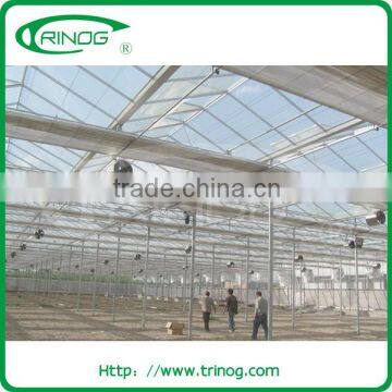 High Gutter and Roof Glass Greenhouse for Agriculture