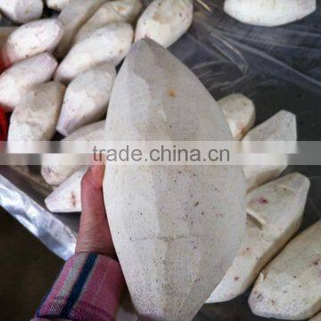 1.75kg Fresh Taro for Sale at Best Market Price