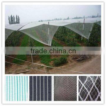 Hot!!! hdpe anti hail net for plant protection with uv protection for agricultural leader manufacturer in china