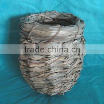 weaving bird nest