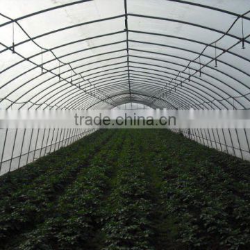 Tunnel greenhouse