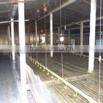 prefabricated light steel structue buildings/chicken sheds/houses