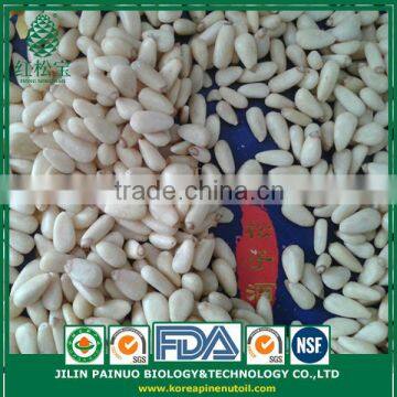 Wholesale Factory Direct Top Quality Chines Red Korean Pine Nut Kernels photo-4