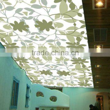 Stretch Ceiling PVC Printed Ceiling Film Big Space