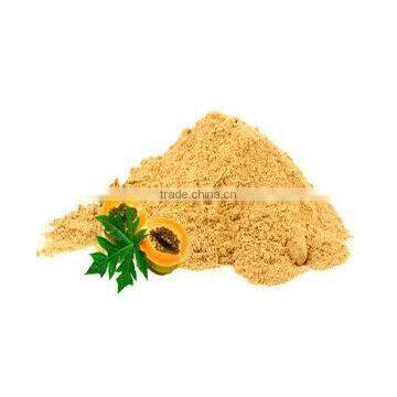 PAPAYA FRUIT POWDER FOR AYURVEDIC REMEDY