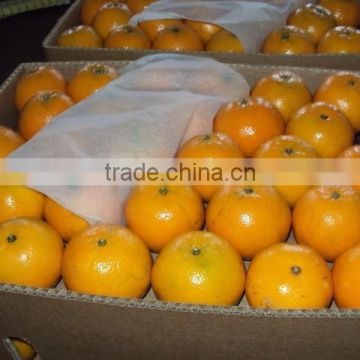 FRESH MANDARIN