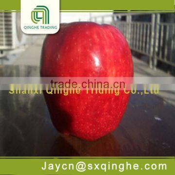 red star apple fresh fruit export from china