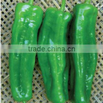 Hybrid Green Horn pepper chili seeds for growing- PS016