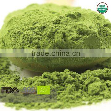 Free Sample Instant Matcha Green Tea Powder USDA Certified