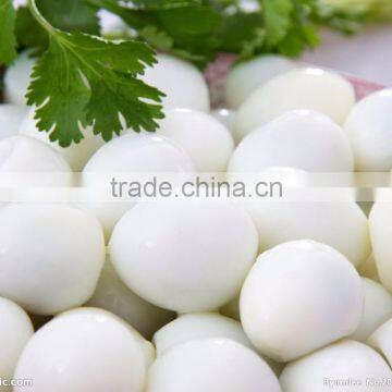 FT-206 Large Capacity Quail Egg Shelling Breaking Peeling Machine photo-6