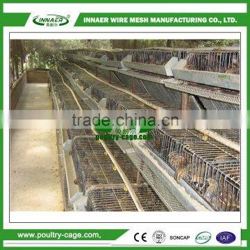 Agricultural Equipment quail cage and water system