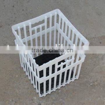 The quadrate plastic turnover box for chicken egg