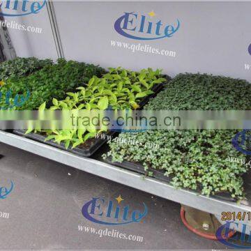 214 Base for Display Trolley Hot Dip Galvanized Flower Trolley Base Chassis