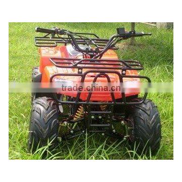 500w electric atv(SX-E1000ATV-A)(NOISE FREE)