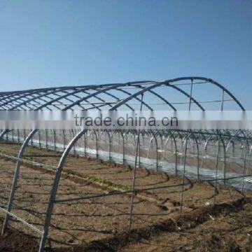 2016 New Easy Assembled Tunnel Greenhouse photo-4