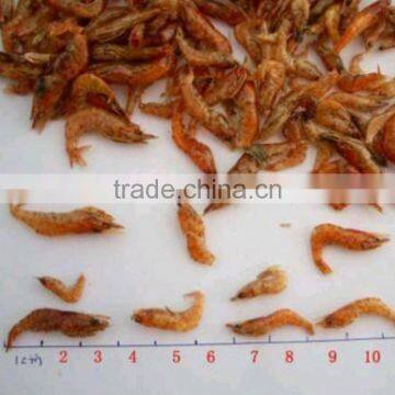 Amimal feed dried shrimp wholesale