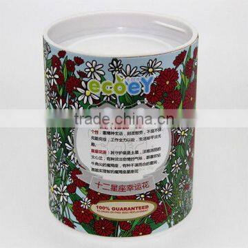 Fashion Twelve constellations lucky flower potted plant -stars