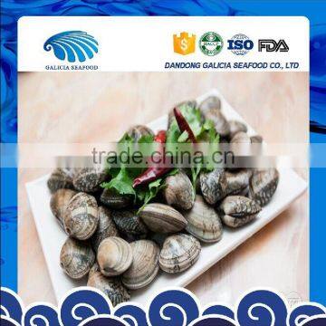 Wild Caught Frozen Baby Clam Half Shell