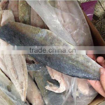 Frozen Mahi Mahi Fish Whole Around (Coryphaena Hippurus) photo-5