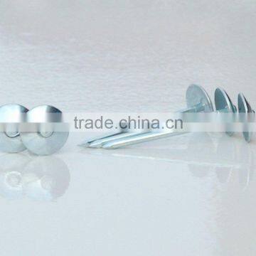 Galvanized Roofing Nails Price