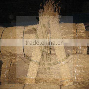 Water Reed for Thatched Roof photo-4