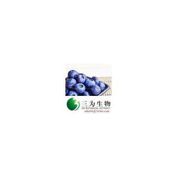 Bilberry Extract Anthocyanins